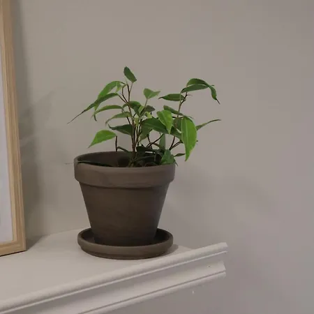 Toerroe As 9, Ylaekerran Yksioe 2hloe, Oma Keittioe Ja Kylpyhuone Apartamento Pudasjarvi